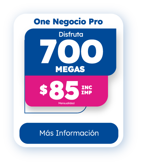 internet one Negocio pro