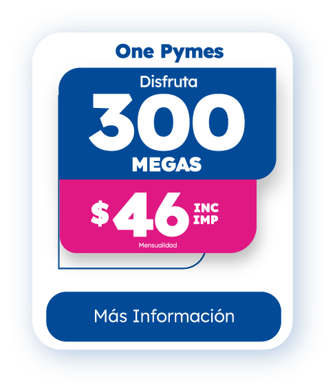 internet one pymes